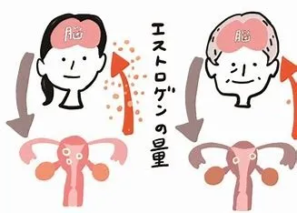 女性ホルモンの働きを整体で整える方法