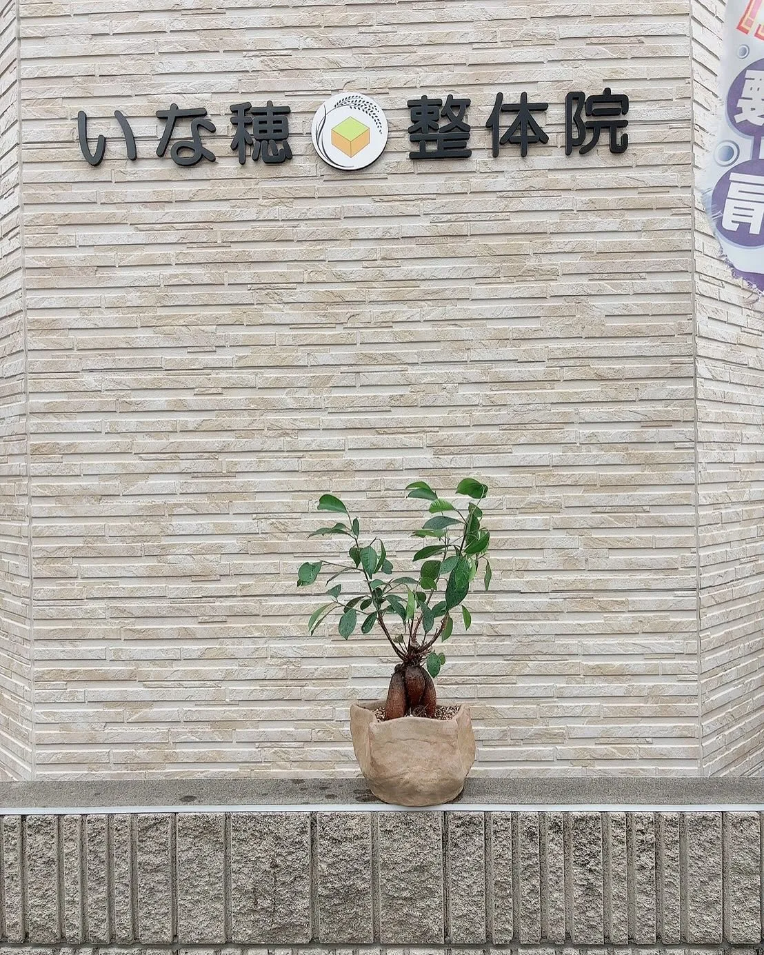 3ヶ月前に陶芸で作った