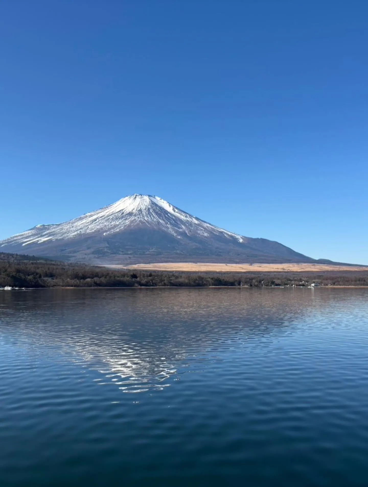 ワカサギ釣りは今年も晴天なり☀️