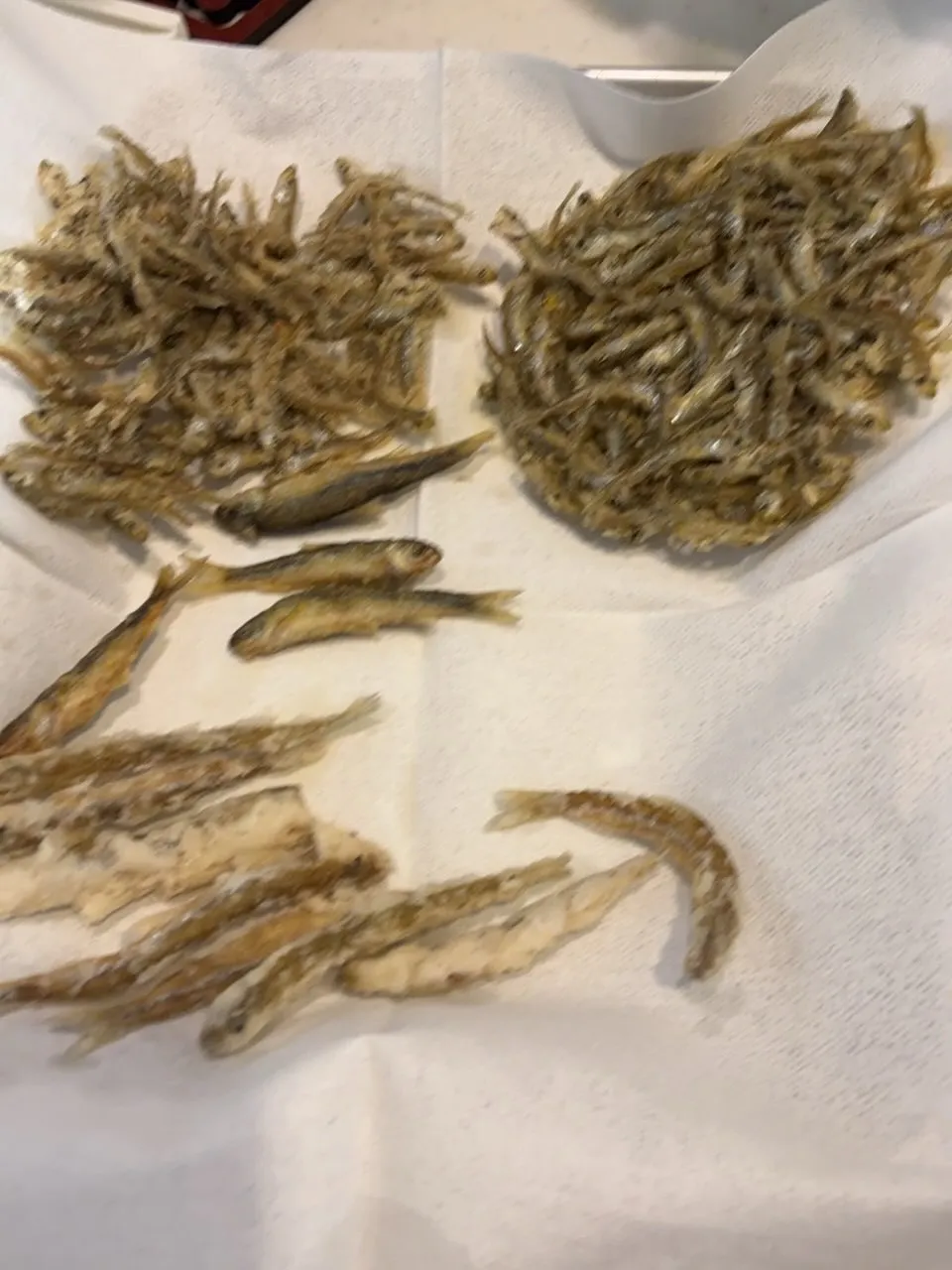 ワカサギ釣りは今年も晴天なり☀️