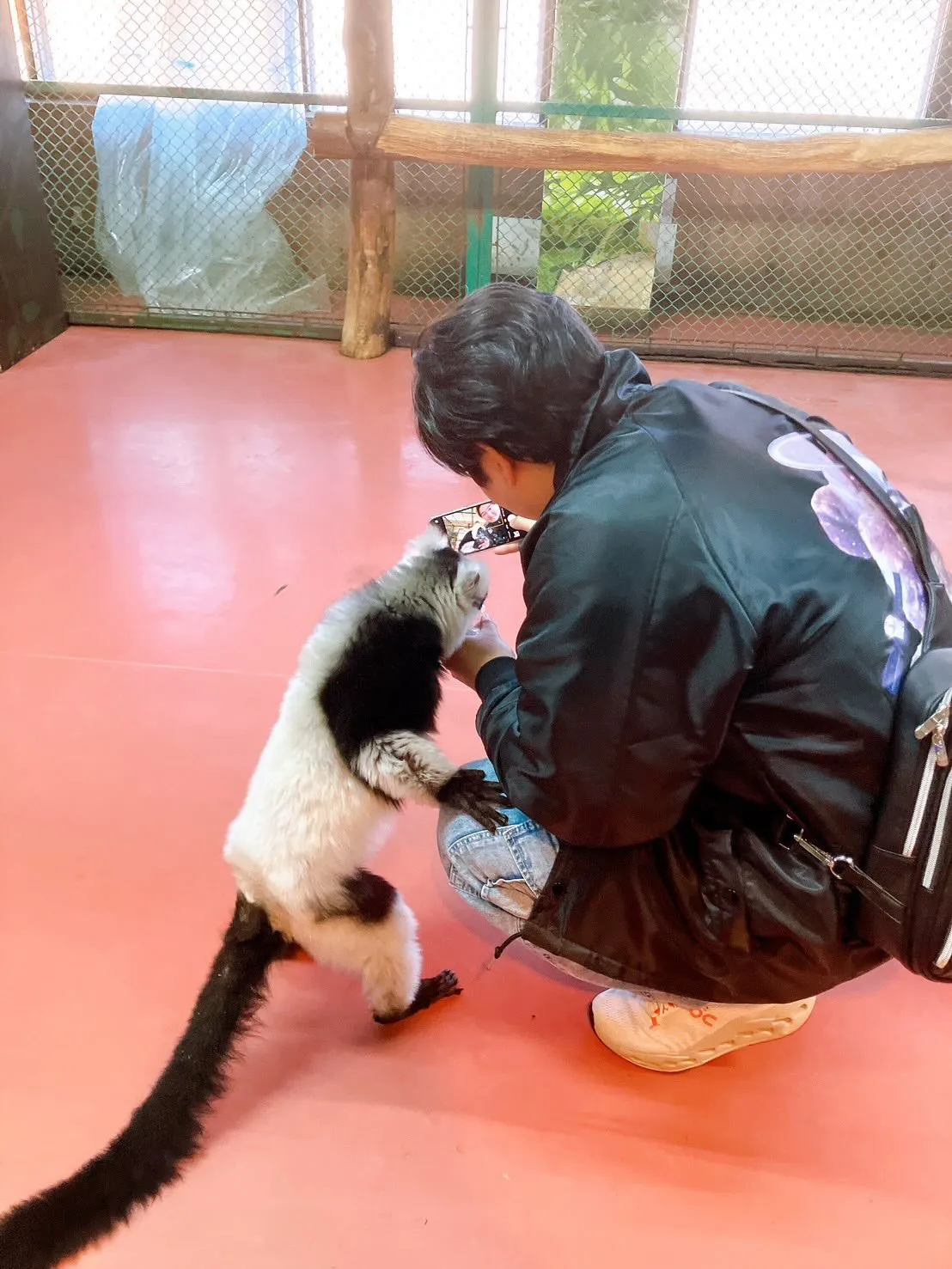 ワールドモンキーパーク🐒