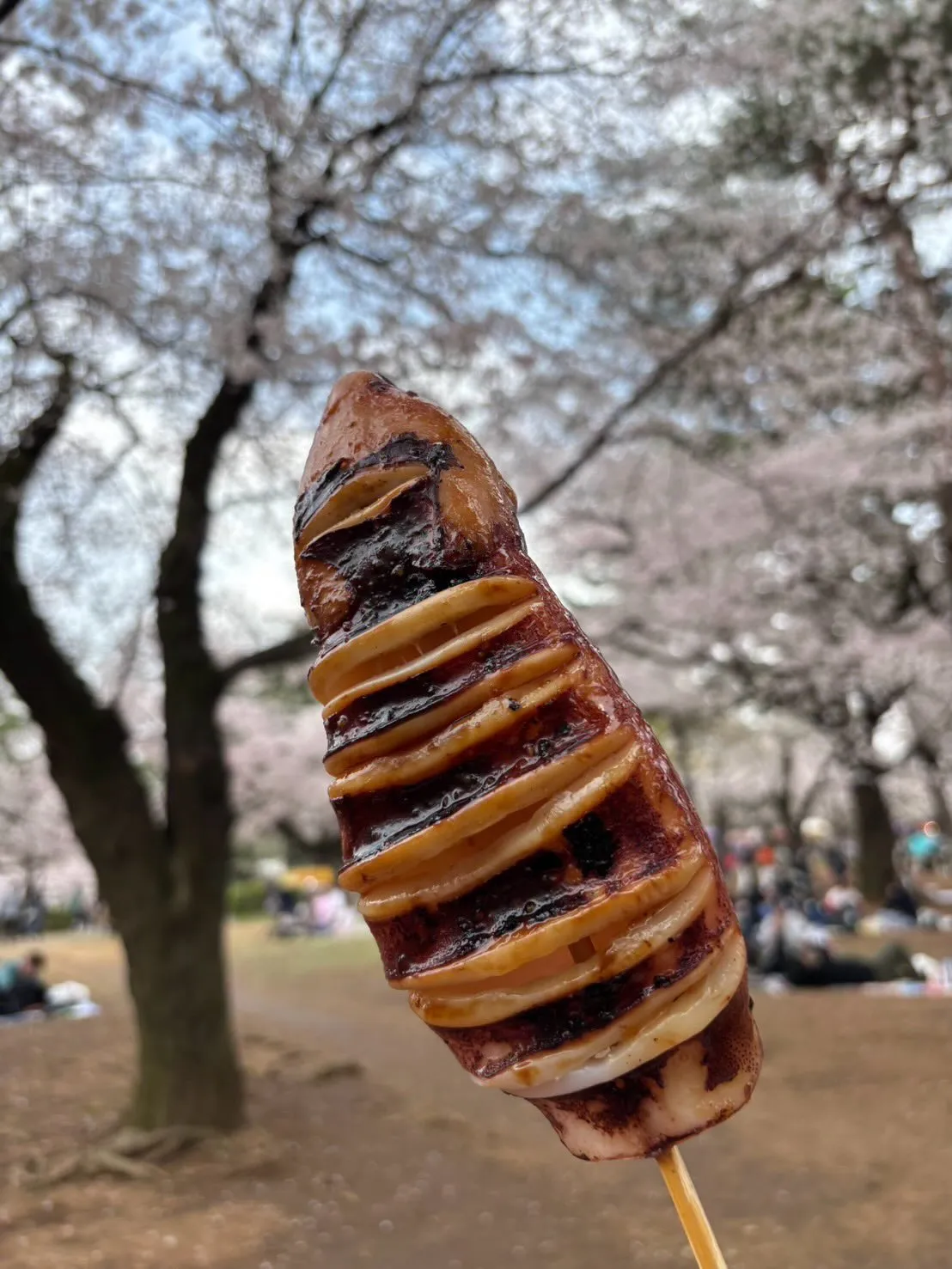 大宮公園でお花見ピクニック🌸