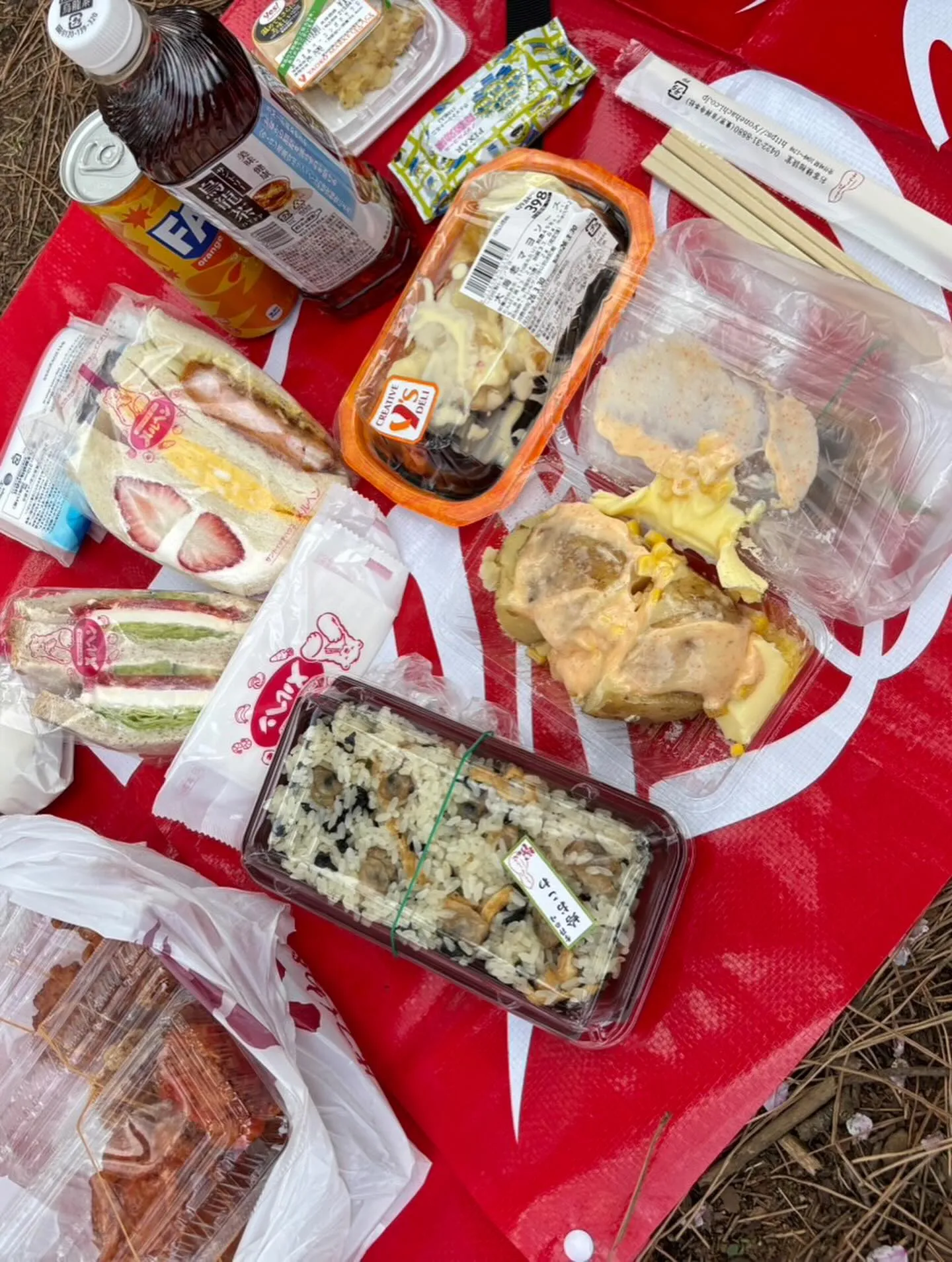 大宮公園でお花見ピクニック🌸