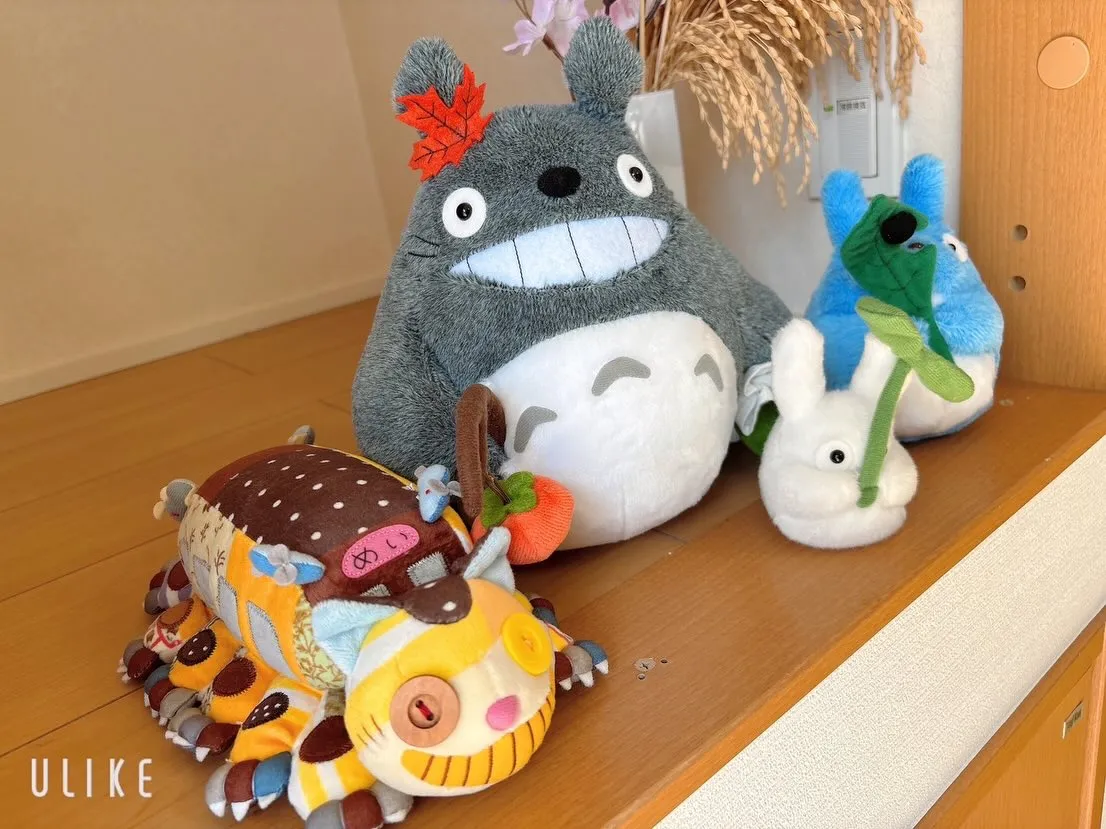 ジブリパークのネコバスを買って来てもらった❗️